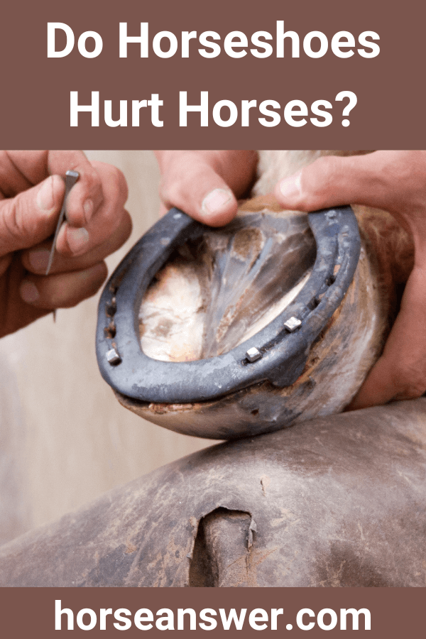 Do Horseshoes Hurt Horses?