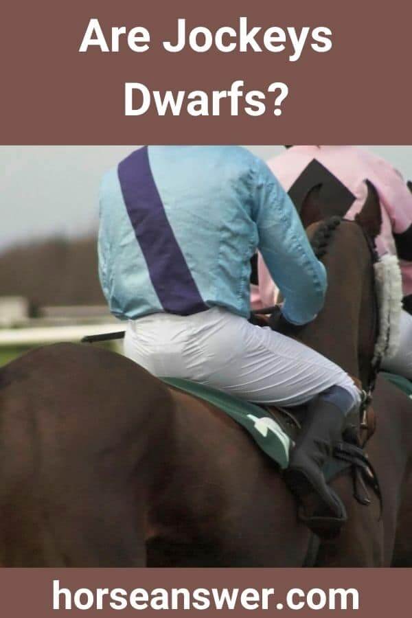 Are Jockeys Dwarfs?