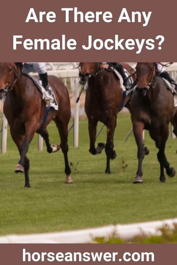 Are There Any Female Jockeys? (Or Is It All Men?) Horse Answer