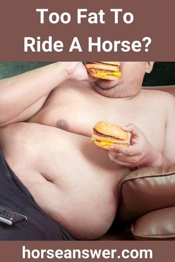 Too Fat To Ride A Horse
