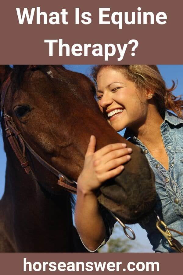 What Is Equine Therapy?