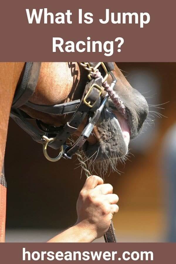 What Is Jump Racing?