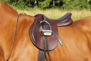 What Is Crazy Horse Leather?