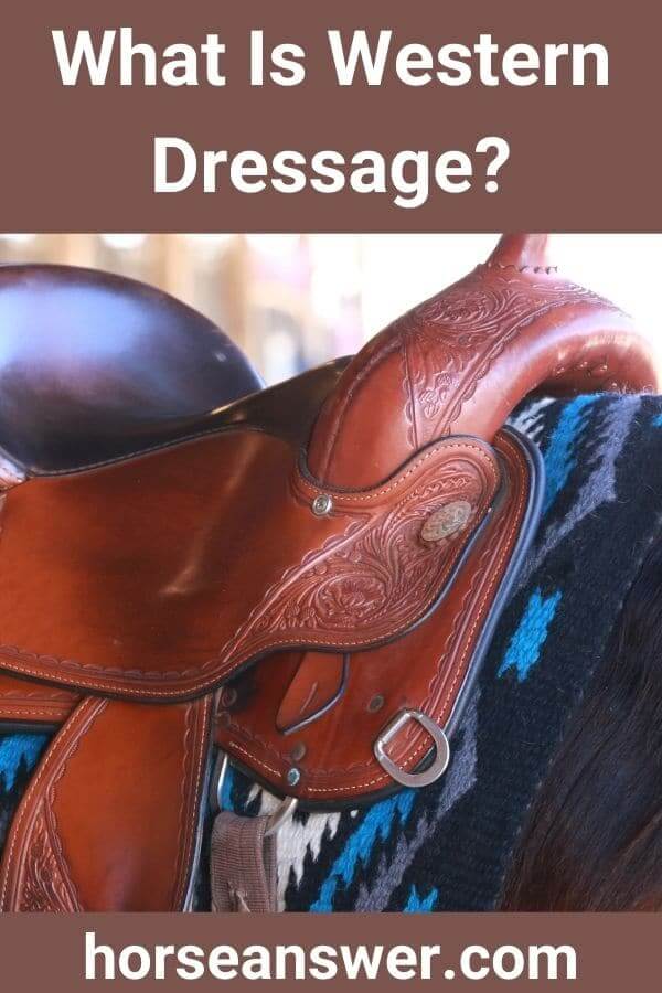What Is Western Dressage?