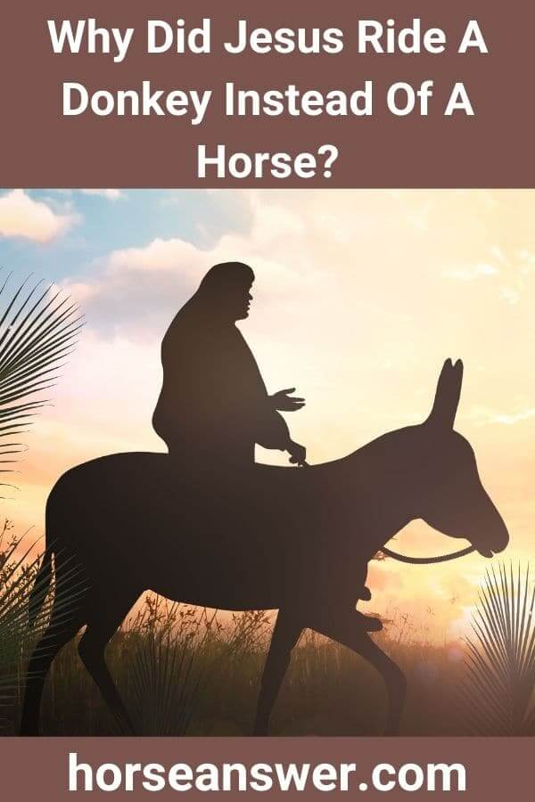 Why Did Jesus Ride A Donkey Instead Of A Horse?