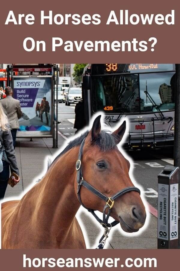 Are Horses Allowed On Pavements?