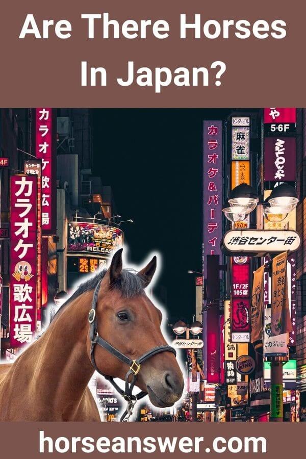 Are There Horses In Japan?