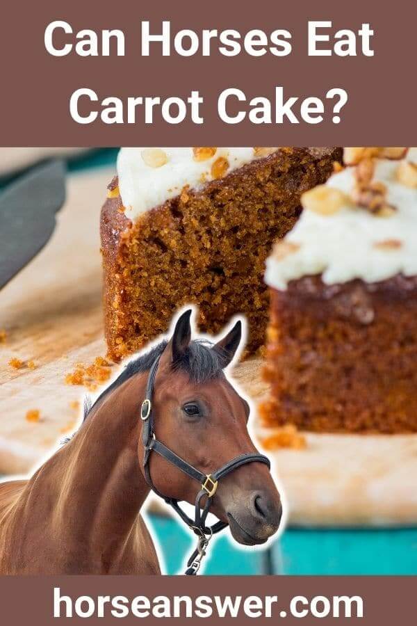 Can Horses Eat Carrot Cake?