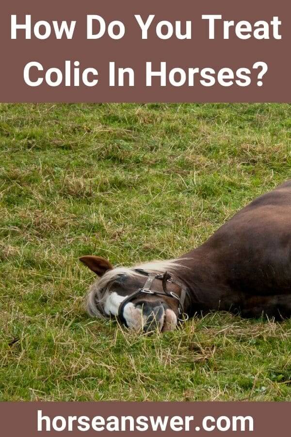 How Do You Treat Colic In Horses?