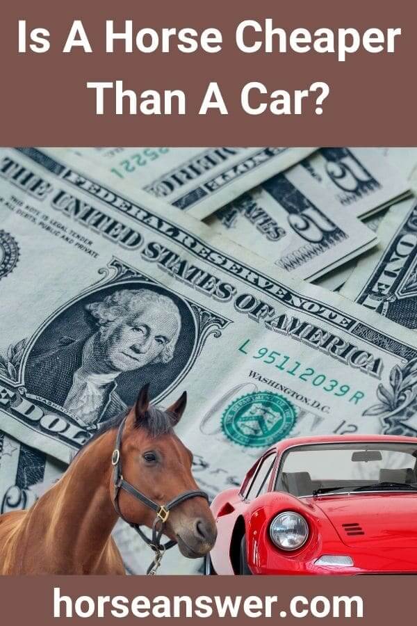 Is A Horse Cheaper Than A Car