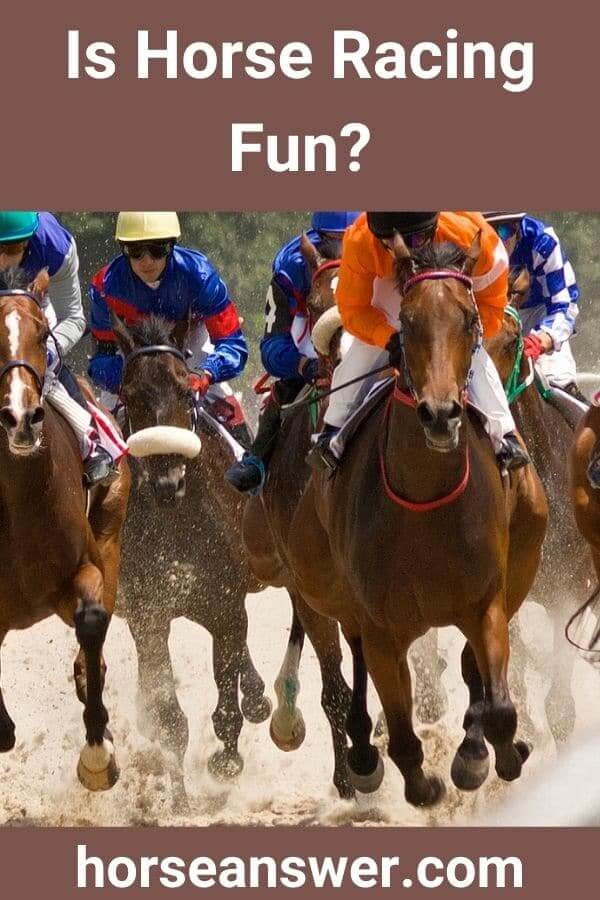 Is Horse Racing Fun?