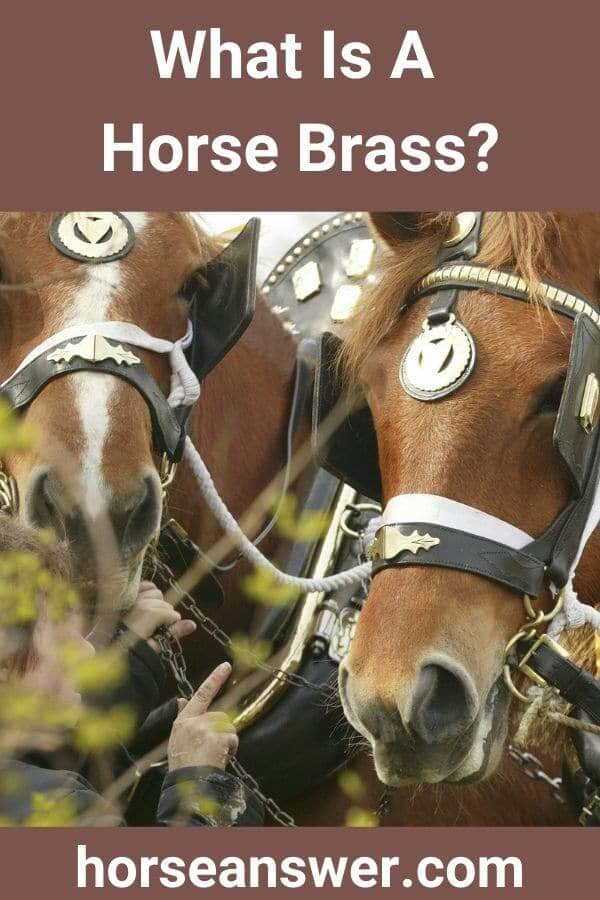 What Is A Horse Brass?