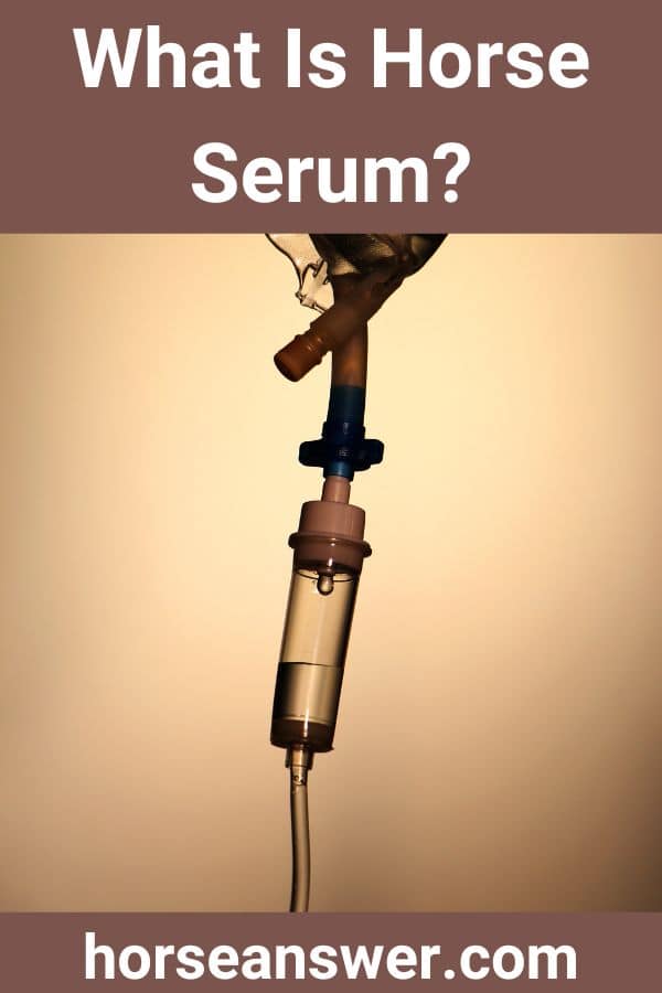 What Is Horse Serum?