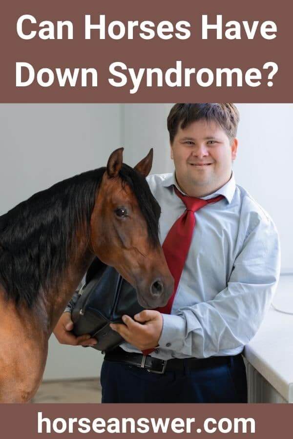 Can Horses Have Down Syndrome?