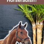 Do Horses Eat Horseradish?