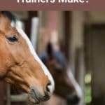 How Much Do Horse Trainers Make?
