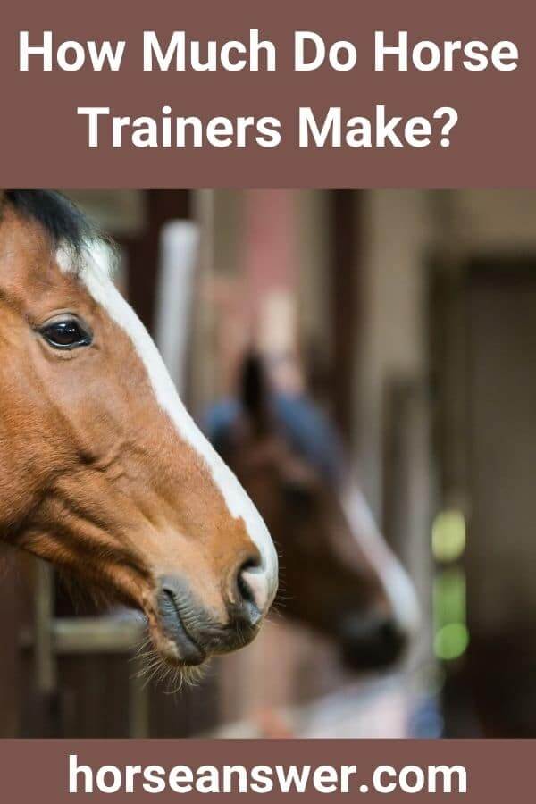 How Much Do Horse Trainers Make? (Find Out!) Horse Answer