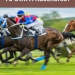 How Much Does It Cost To Own A Racehorse?